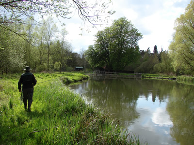 River Test Leckford Estate